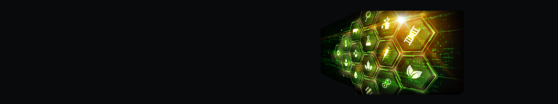 Cyberquest